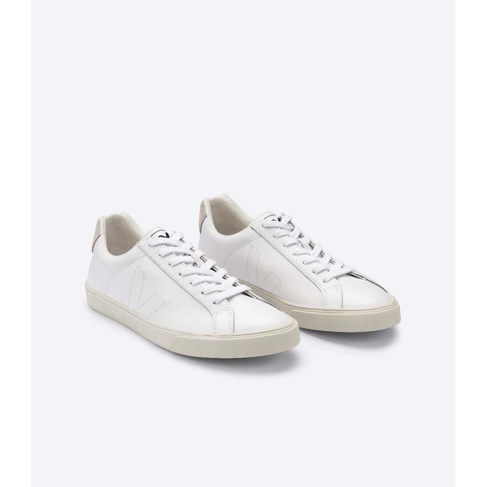 Men's Veja ESPLAR LEATHER Sneakers White | SG 308JPQ